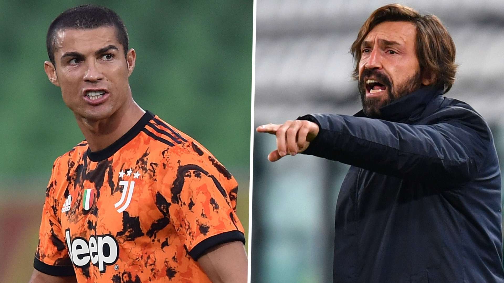 这种独特的 这种独特的