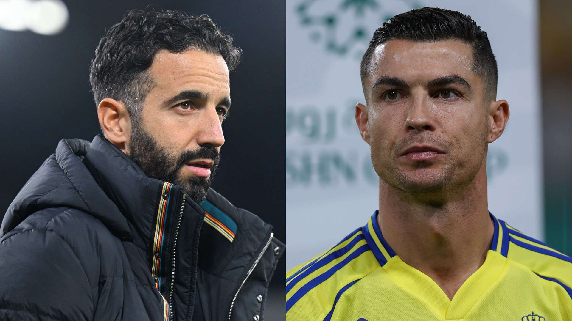 得更多荣誉 得更多荣誉